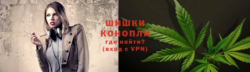 Конопля OG Kush  Кингисепп 